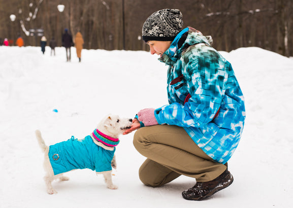 Top Personalized Dog Ornaments in Canada: Perfect Gifts for Pet Lovers