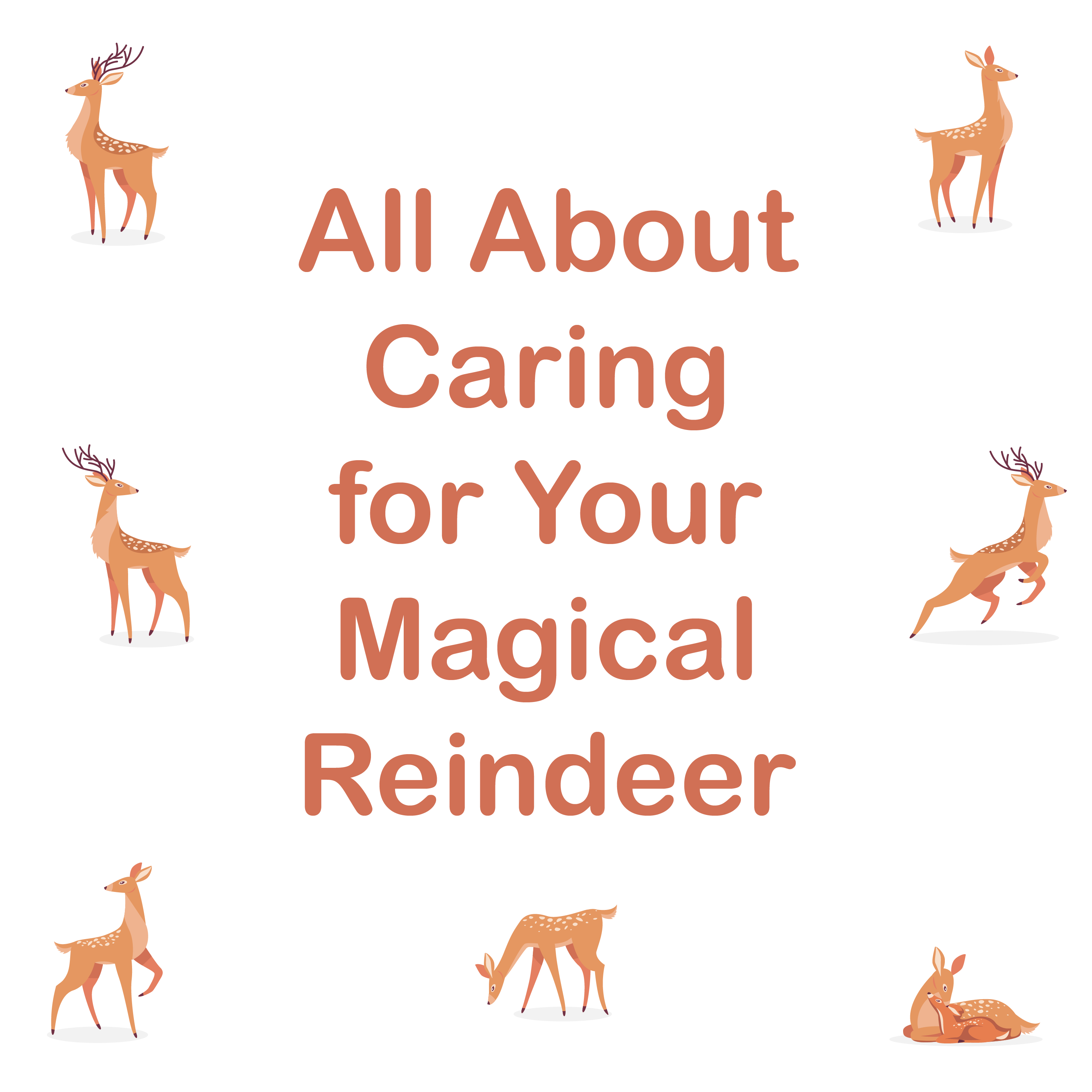 All the reindeer deals
