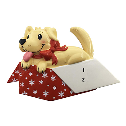 New puppy box best sale