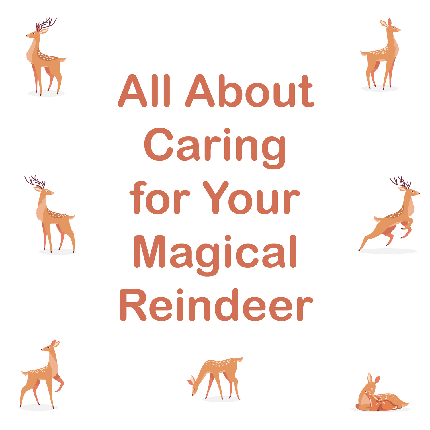 All About Caring for Your Magical Reindeer