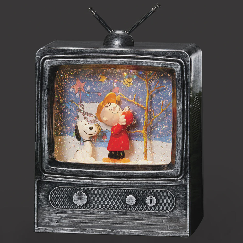 TV - Snoopy and Charlie Brown