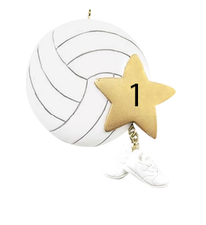 Volleyball