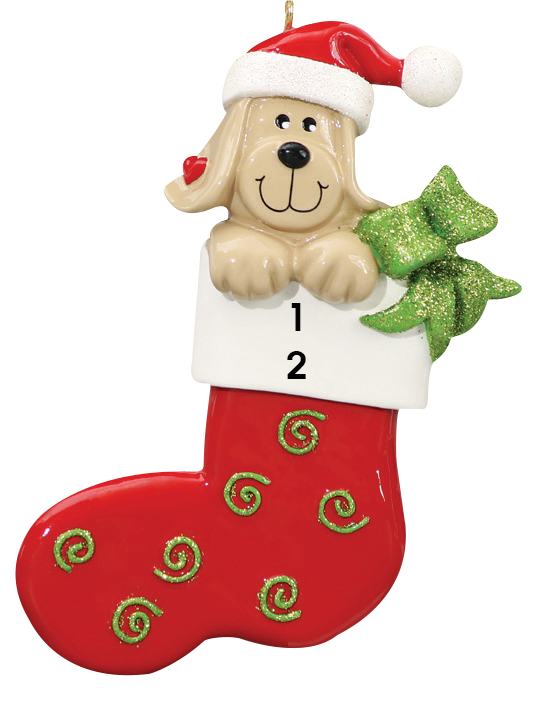 Dog in Stocking (1743137505393)