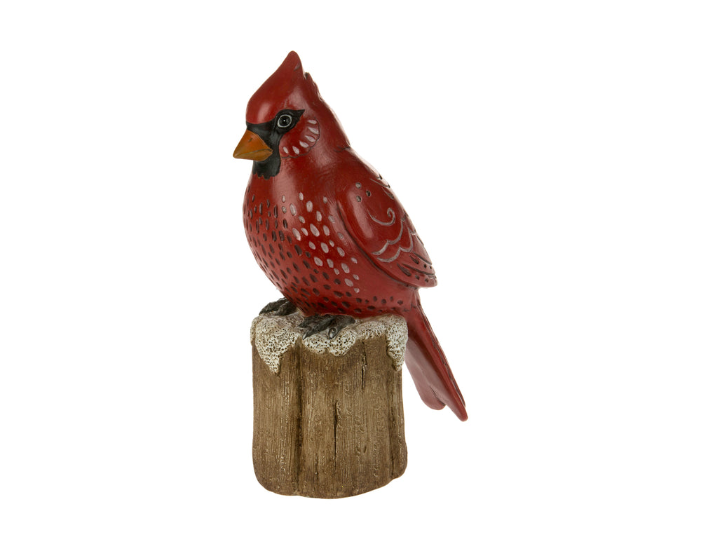 Cardinal on Stump