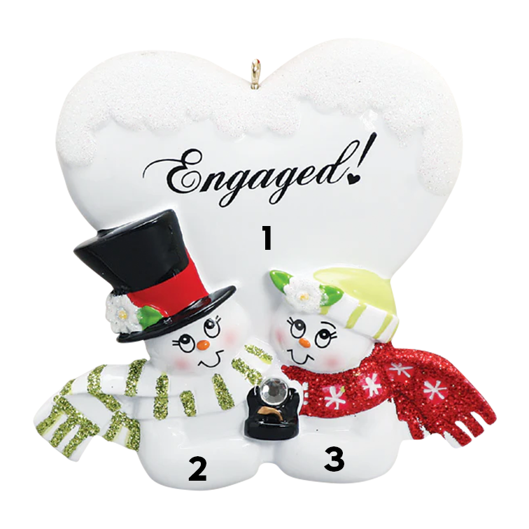 Snow Couple Engaged