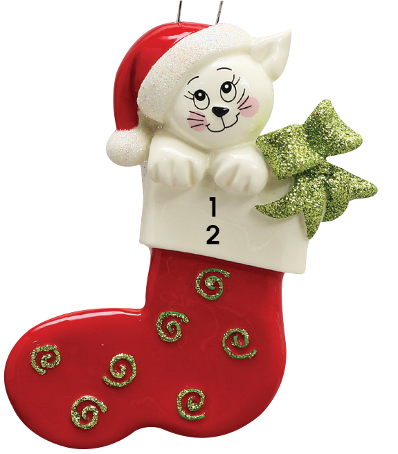 Cat in Stocking (1743132065905)